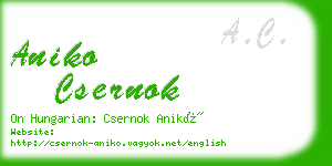 aniko csernok business card